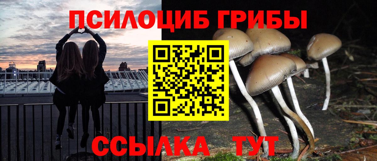 Петропавловск-Камчатский  Псилоцибиновые грибы Psilocybe  Вход с VPN 
