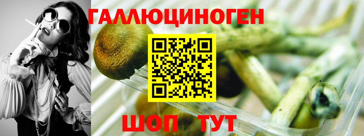 Псилоцибиновые грибы MAGIC MUSHROOMS Петропавловск-Камчатский
